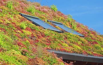 Hampstead Garden Suburb living roof systems