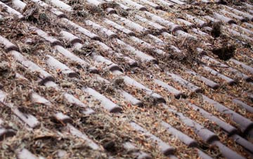 Hampstead Garden Suburb roof cleaning companies